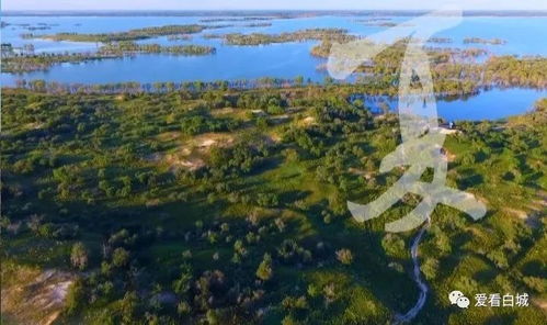 大美白城 誰不說俺家鄉好 榮獲亞洲大獎